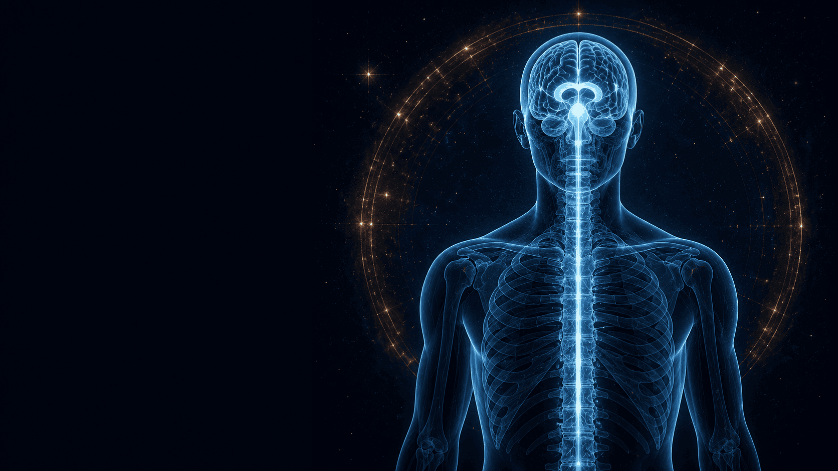 Sacred secretion calendar visualized, anatomical X-ray of the human body with the cerebrospinal fluid channel glowing along the spine and a celestial dial of stars encircling the figure