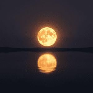 how often does sacred secretion occur